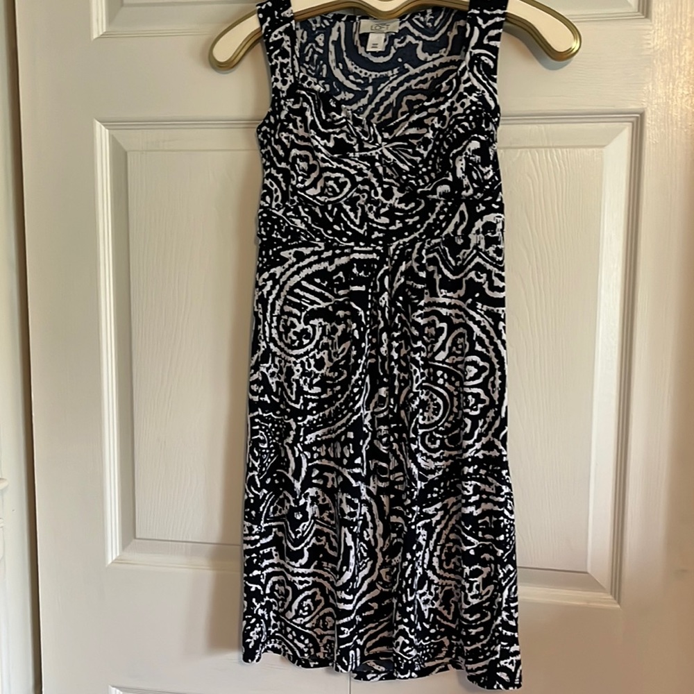 Ann Taylor Loft dress.